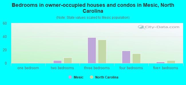 Bedrooms in owner-occupied houses and condos in Mesic, North Carolina