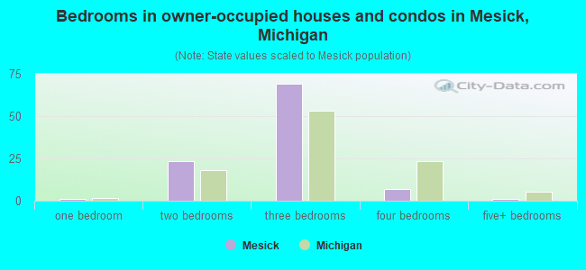 Bedrooms in owner-occupied houses and condos in Mesick, Michigan