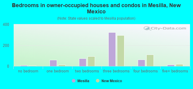 Bedrooms in owner-occupied houses and condos in Mesilla, New Mexico
