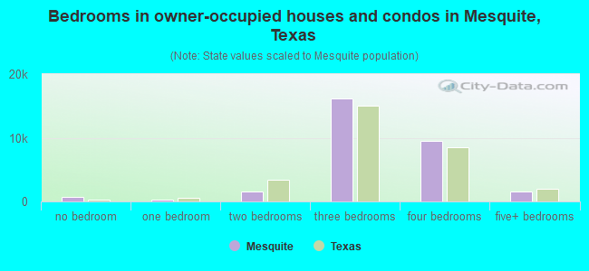 Bedrooms in owner-occupied houses and condos in Mesquite, Texas