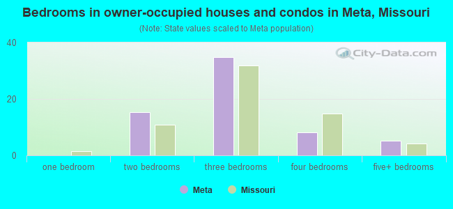 Bedrooms in owner-occupied houses and condos in Meta, Missouri