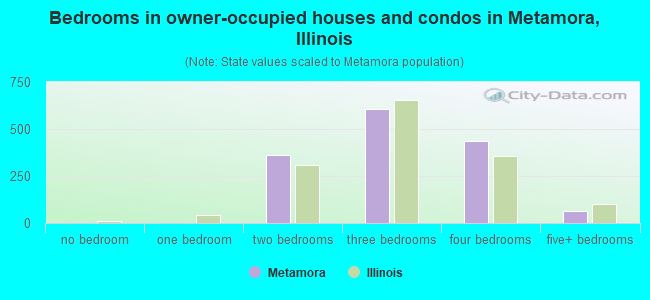 Bedrooms in owner-occupied houses and condos in Metamora, Illinois