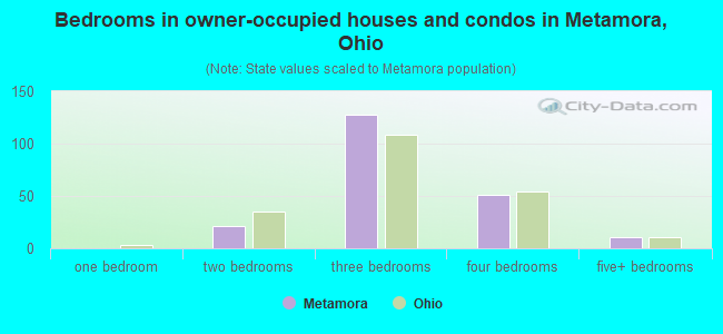 Bedrooms in owner-occupied houses and condos in Metamora, Ohio