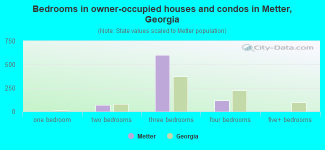Bedrooms in owner-occupied houses and condos in Metter, Georgia