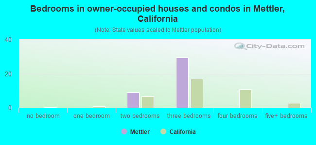 Bedrooms in owner-occupied houses and condos in Mettler, California