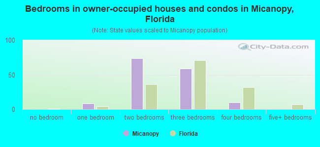 Bedrooms in owner-occupied houses and condos in Micanopy, Florida