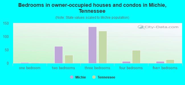 Bedrooms in owner-occupied houses and condos in Michie, Tennessee