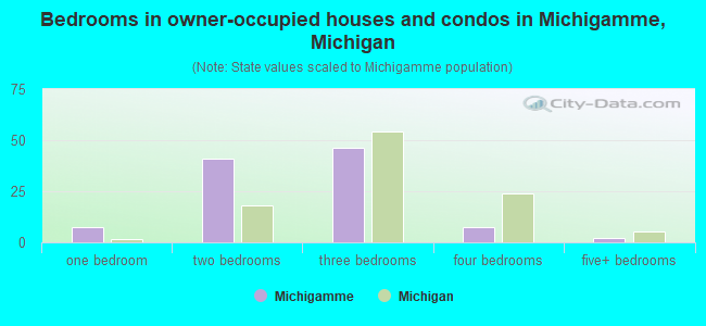 Bedrooms in owner-occupied houses and condos in Michigamme, Michigan