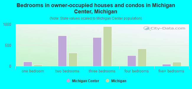 Bedrooms in owner-occupied houses and condos in Michigan Center, Michigan