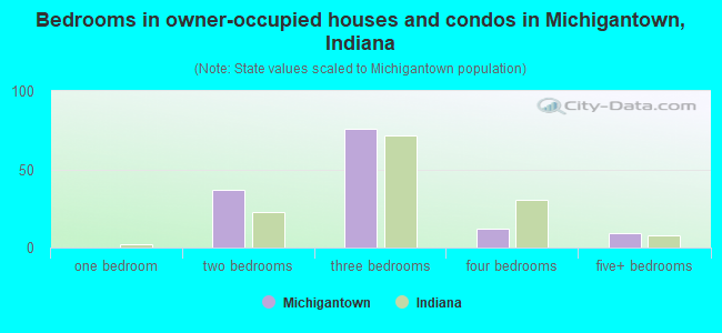 Bedrooms in owner-occupied houses and condos in Michigantown, Indiana