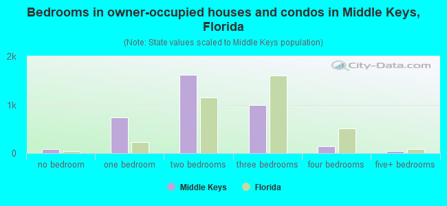 Bedrooms in owner-occupied houses and condos in Middle Keys, Florida