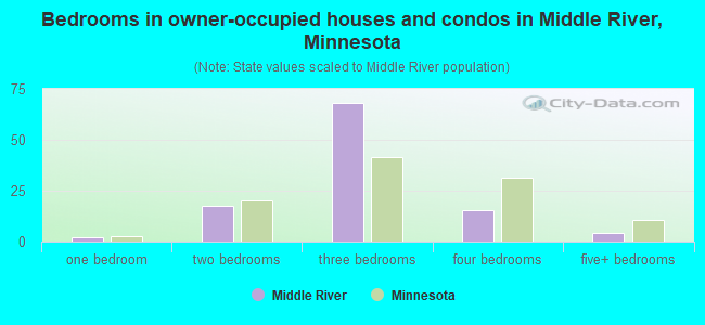 Bedrooms in owner-occupied houses and condos in Middle River, Minnesota
