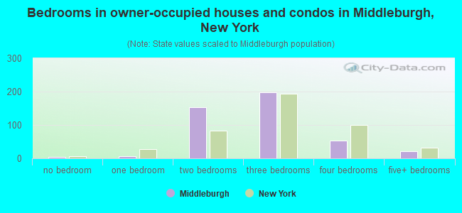 Bedrooms in owner-occupied houses and condos in Middleburgh, New York