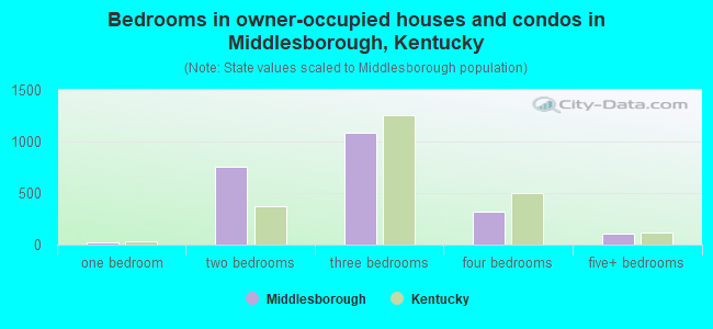 Bedrooms in owner-occupied houses and condos in Middlesborough, Kentucky