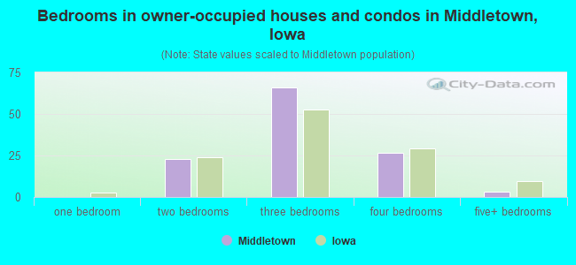 Bedrooms in owner-occupied houses and condos in Middletown, Iowa