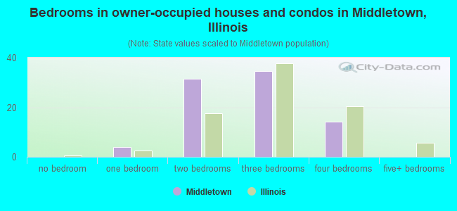 Bedrooms in owner-occupied houses and condos in Middletown, Illinois