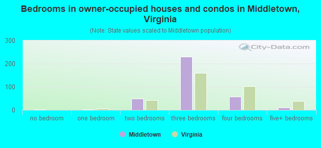 Bedrooms in owner-occupied houses and condos in Middletown, Virginia