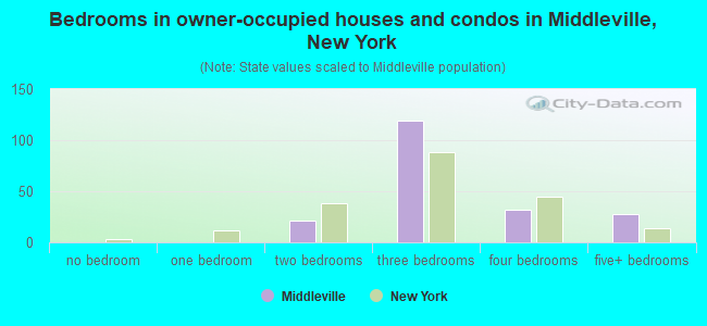 Bedrooms in owner-occupied houses and condos in Middleville, New York