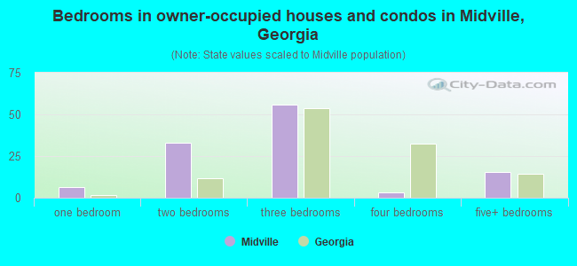 Bedrooms in owner-occupied houses and condos in Midville, Georgia