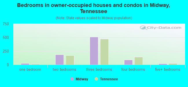 Bedrooms in owner-occupied houses and condos in Midway, Tennessee