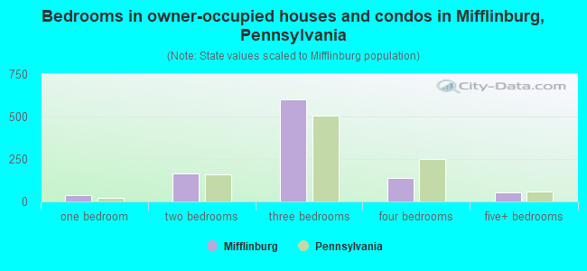 Bedrooms in owner-occupied houses and condos in Mifflinburg, Pennsylvania