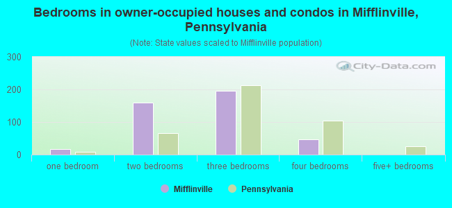 Bedrooms in owner-occupied houses and condos in Mifflinville, Pennsylvania