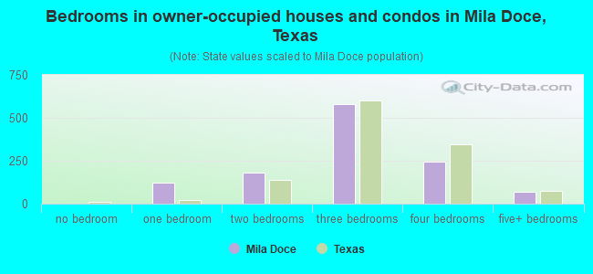 Bedrooms in owner-occupied houses and condos in Mila Doce, Texas