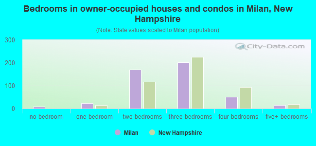 Bedrooms in owner-occupied houses and condos in Milan, New Hampshire