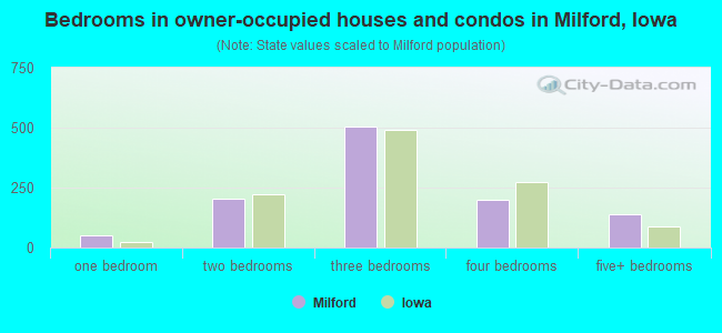 Bedrooms in owner-occupied houses and condos in Milford, Iowa