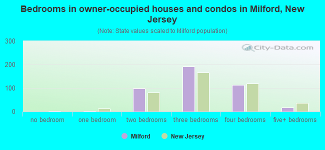 Bedrooms in owner-occupied houses and condos in Milford, New Jersey