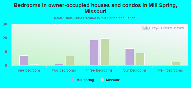 Bedrooms in owner-occupied houses and condos in Mill Spring, Missouri