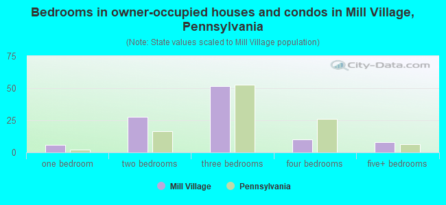 Bedrooms in owner-occupied houses and condos in Mill Village, Pennsylvania