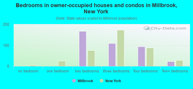 Bedrooms in owner-occupied houses and condos in Millbrook, New York