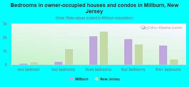 Bedrooms in owner-occupied houses and condos in Millburn, New Jersey