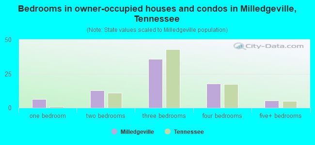 Bedrooms in owner-occupied houses and condos in Milledgeville, Tennessee
