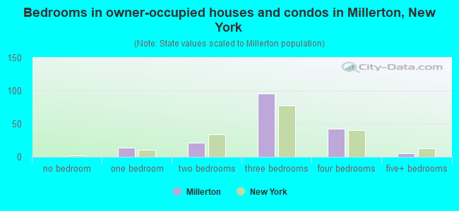 Bedrooms in owner-occupied houses and condos in Millerton, New York