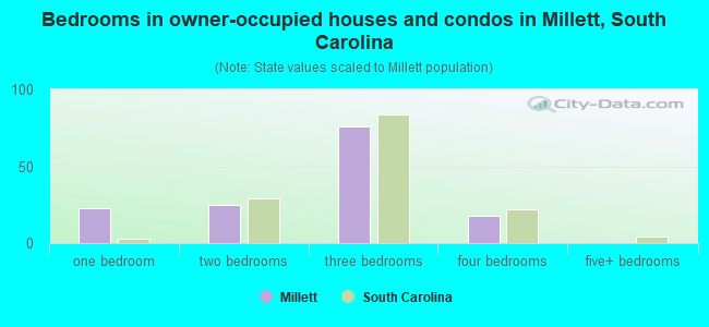Bedrooms in owner-occupied houses and condos in Millett, South Carolina