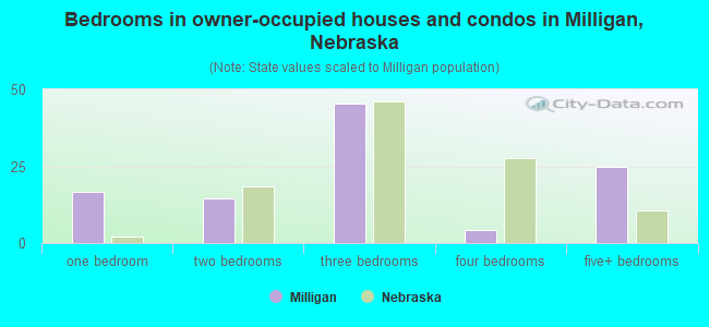Bedrooms in owner-occupied houses and condos in Milligan, Nebraska