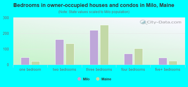 Bedrooms in owner-occupied houses and condos in Milo, Maine