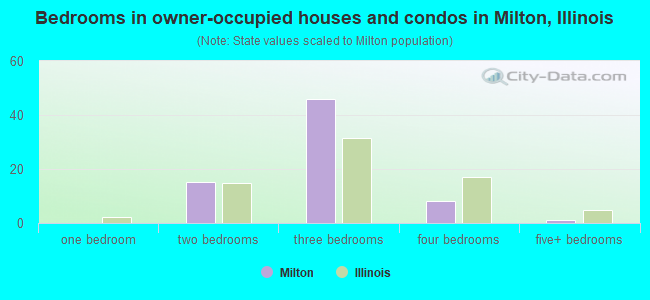 Bedrooms in owner-occupied houses and condos in Milton, Illinois