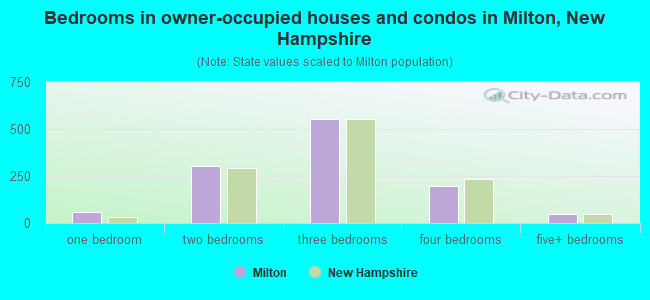 Bedrooms in owner-occupied houses and condos in Milton, New Hampshire