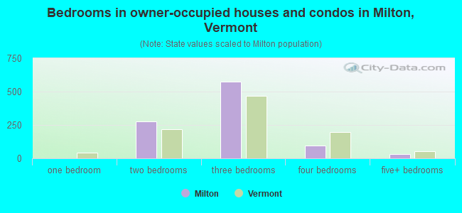 Bedrooms in owner-occupied houses and condos in Milton, Vermont