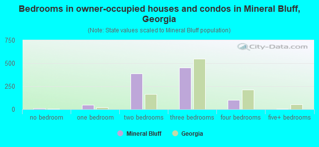 Bedrooms in owner-occupied houses and condos in Mineral Bluff, Georgia