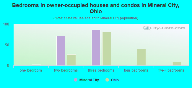 Bedrooms in owner-occupied houses and condos in Mineral City, Ohio