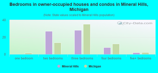 Bedrooms in owner-occupied houses and condos in Mineral Hills, Michigan