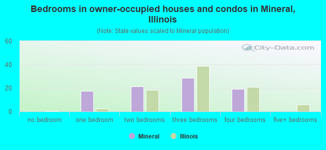 Bedrooms in owner-occupied houses and condos in Mineral, Illinois