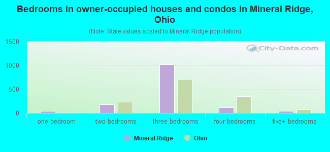 Bedrooms in owner-occupied houses and condos in Mineral Ridge, Ohio