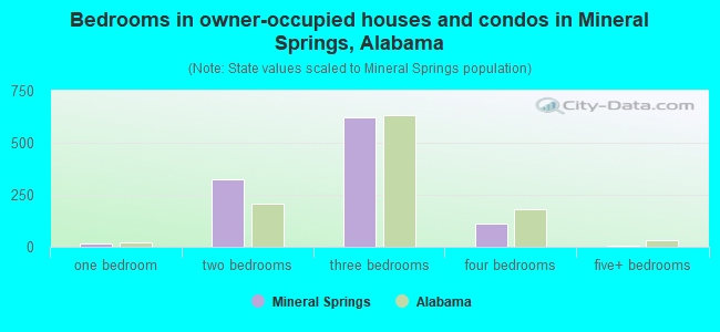 Bedrooms in owner-occupied houses and condos in Mineral Springs, Alabama