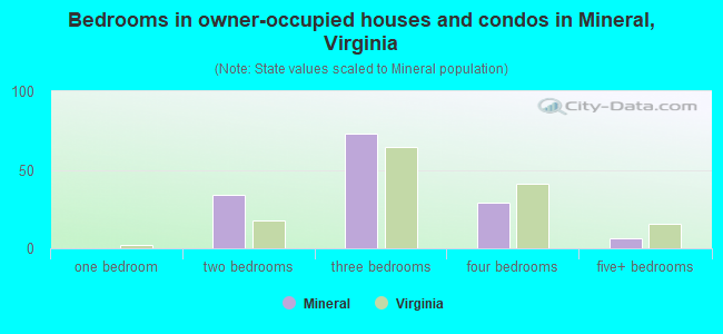 Bedrooms in owner-occupied houses and condos in Mineral, Virginia