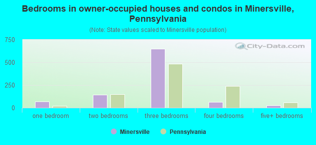 Bedrooms in owner-occupied houses and condos in Minersville, Pennsylvania